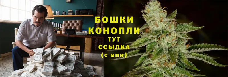 Бошки Шишки SATIVA & INDICA  Кувшиново 